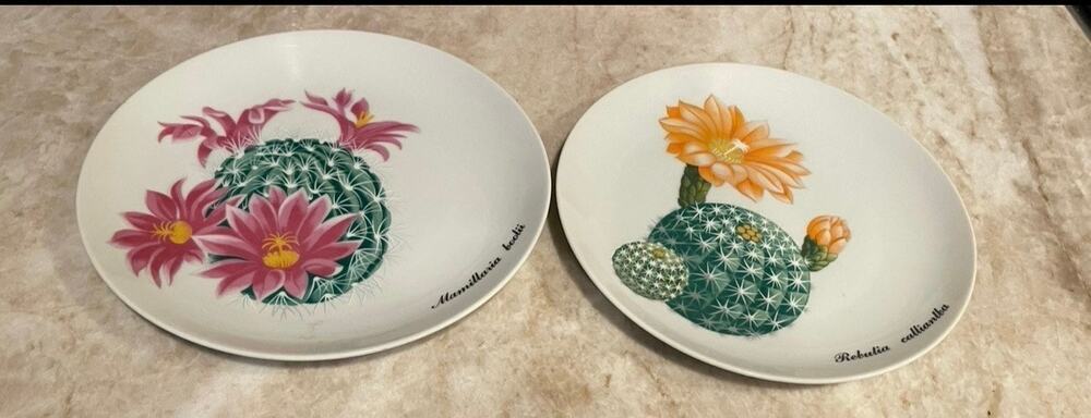 Shafford Desert Flower garden club series plates cactus  set of 2